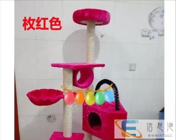 全新猫爬架