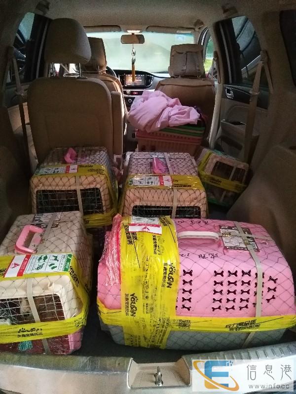 友鑫宠物托运,高品质家到家宠物托运,标准化服务