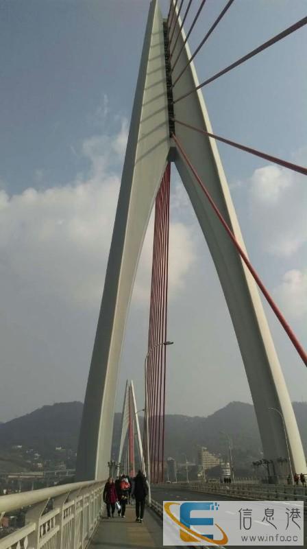 重庆桥都律师事务所主任律师 刑事辩护 民商事行政诉讼