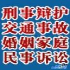 主任律师 刑事案件 民商案件代理 诉讼顾问 代写诉讼法律文