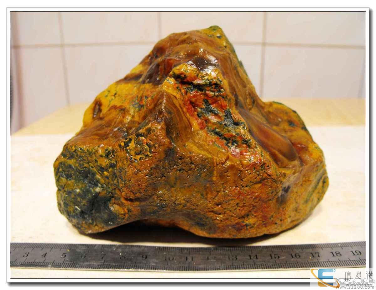 湖南哪有私人高价猪宝,个人现金收猪宝