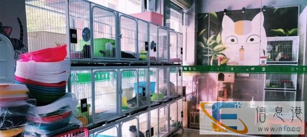 蓝萌萌猫咪宠物会所 蓝猫 2200