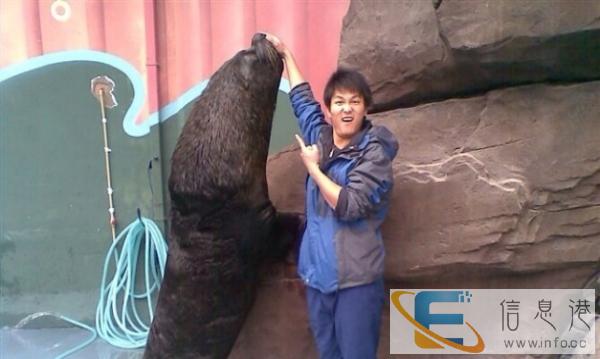 海洋动物出租承接各种企业的活动