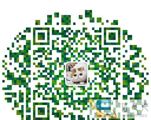 纯种健康加菲猫血统优秀名猫之后,健康活勃