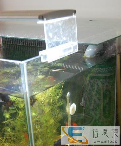 转让超白水族箱
