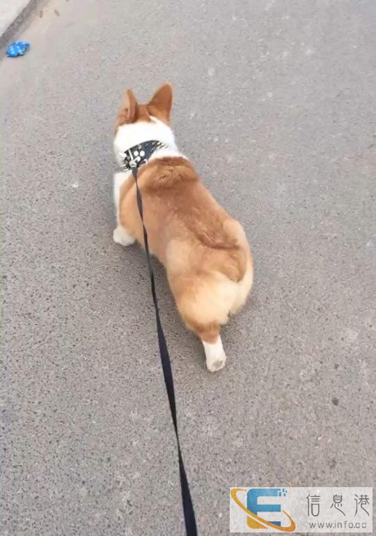 一岁小处男寻初恋女友