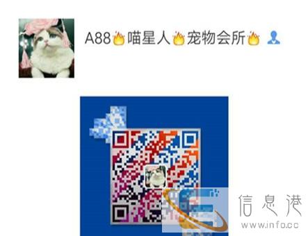 ze出售各种蓝猫蓝白折耳猫包纯种健康要的联系