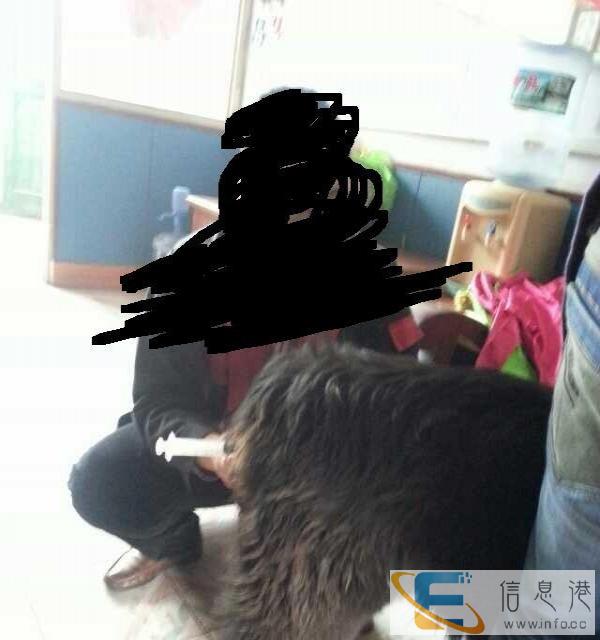 犬仿自然交配受精器，完全模仿自然交配设计，操作简单