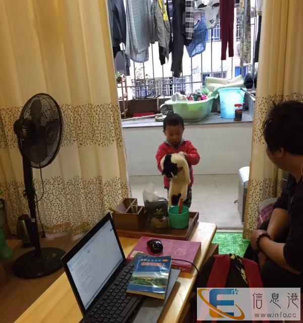 猫咪赠送有爱心的盆友