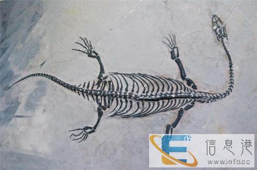 东营哪里私人收购古玩古董个人现金收购古玩