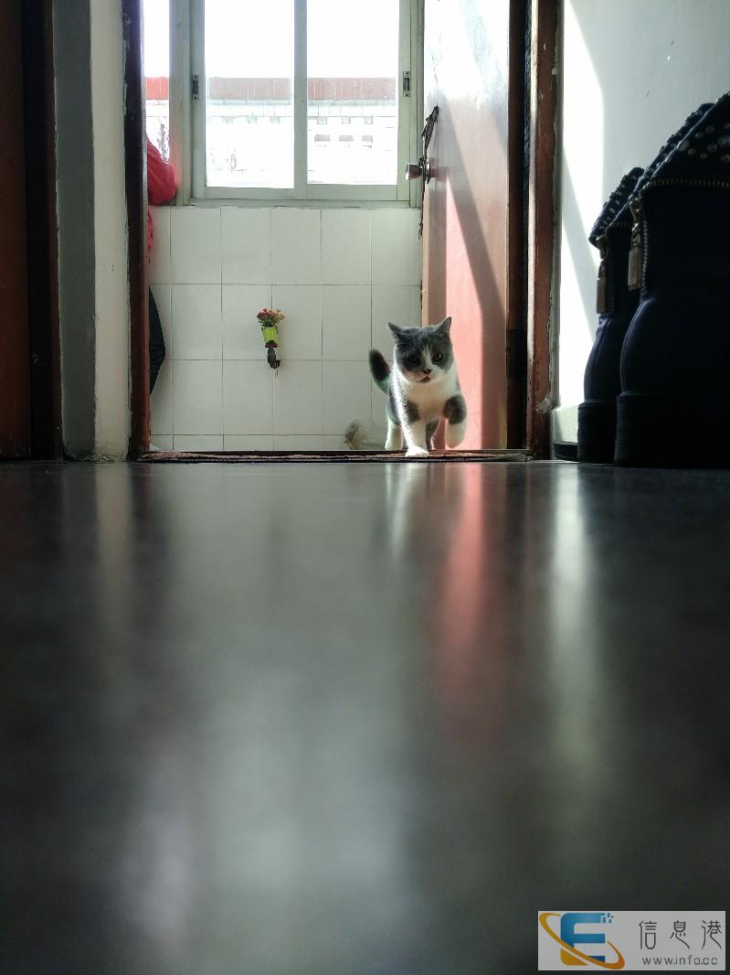 蓝白妹妹找男友