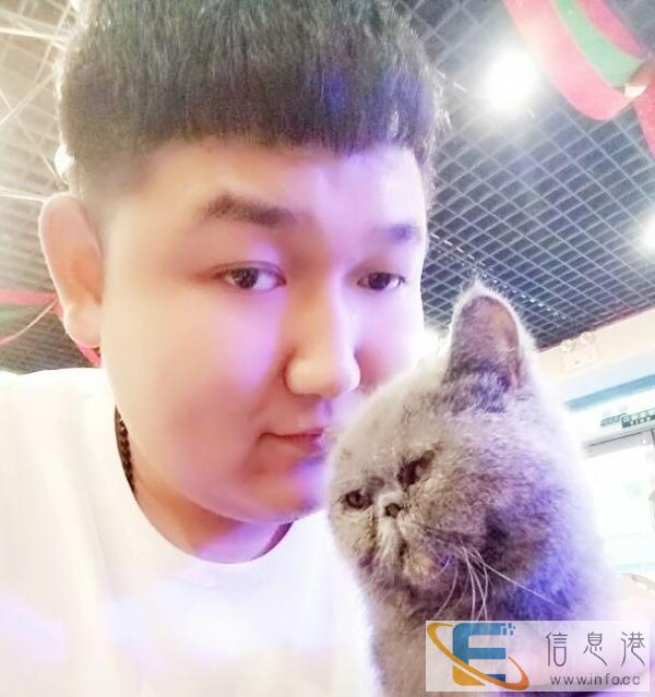 求赠送猫咪,我会爱他的