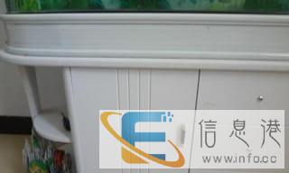 出售自家鱼缸一个,金龙鱼一条