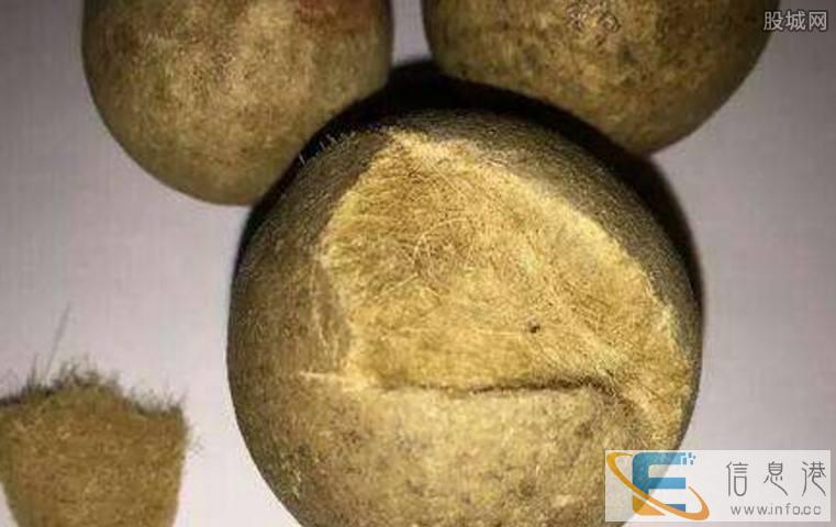 定西羊宝当天交易，个人收购羊宝，私下成交。