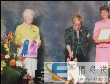 法国斗牛犬种公借配