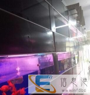低价出售水族馆用一年鱼缸