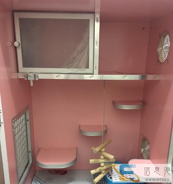 出售家养的龙猫粉白dd