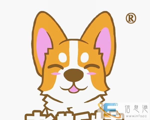 考斯特品牌宠物店免费帮泰迪比熊博美成犬剪毛