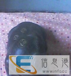 精美紫砂摆件