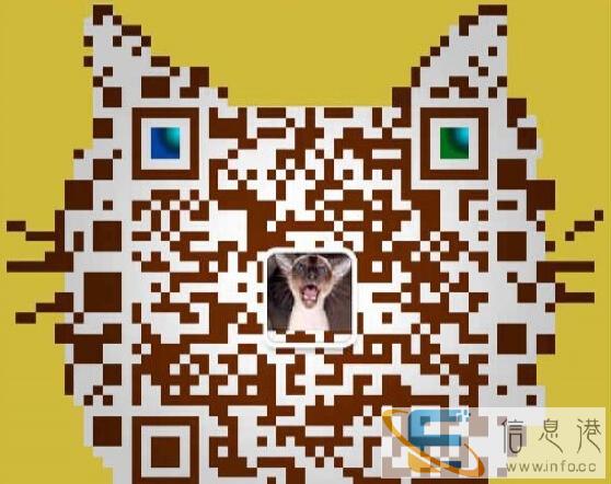 正规猫舍繁殖手套色双色重点色布偶猫有血统,保证健康