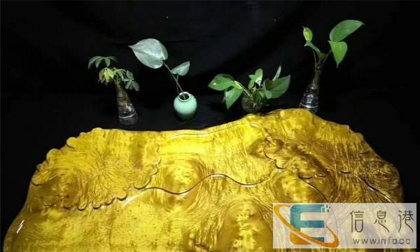 黄金樟茶桌茶盘