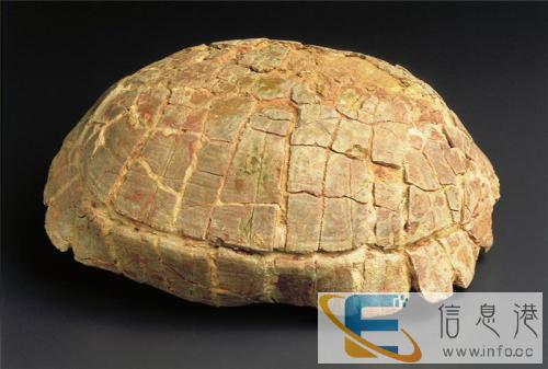 河北邯郸私人高价收购藏画快速变现快速交易