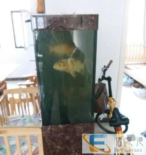 亮点名牌超厚鱼缸