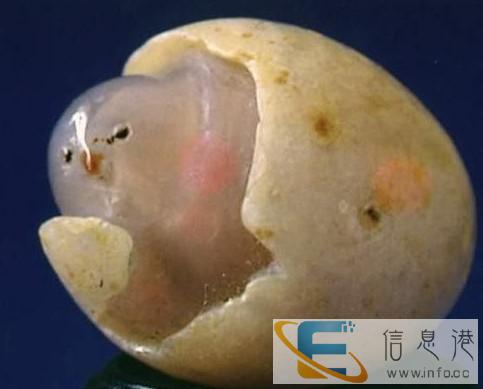 衡阳私人私下-高价收购奇石个人老板现金 收购 古玩