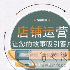 大量承接小说录入文字录入小程序定制速记翻译系统录入