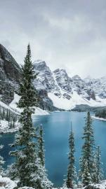 提供各类英语口笔译