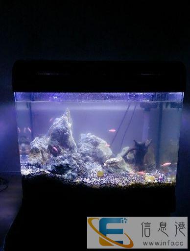 出售鱼缸自己家的