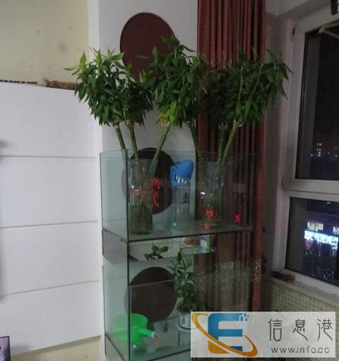 个人闲置3层鱼缸低价出售