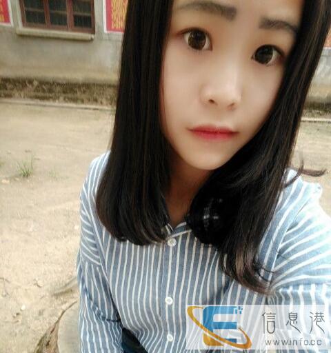 求领养一只小狗我会好好对待