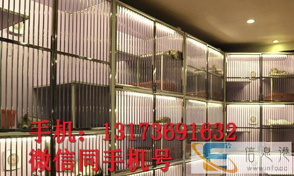 猫舍直销纯种家养幼猫支持支付宝散养加菲猫只待售