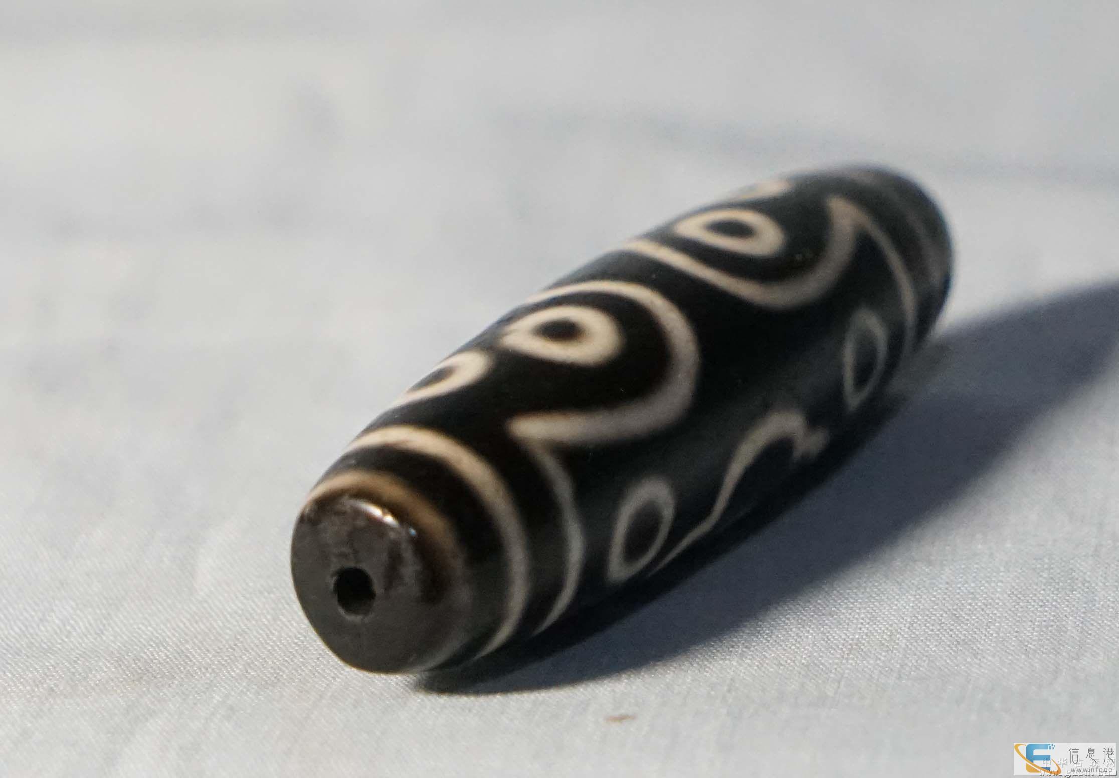 青海私人收购鸡宝-私人老板现金收购猪宝