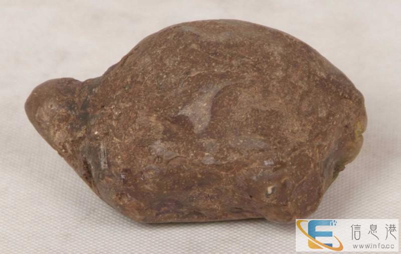 2019年狗宝在哪里私下快速出手交易