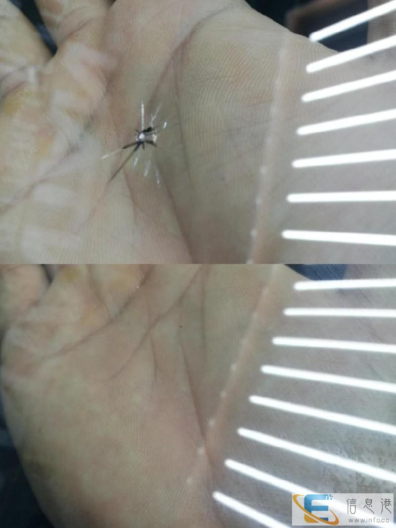 廊坊广阳凹陷修复汽车吸坑玻璃修复电话