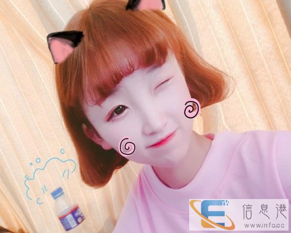 本人想领养一只猫咪特别喜欢猫咪希望与我联系