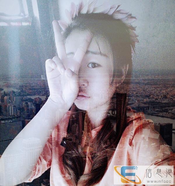 求赠送一只狗狗