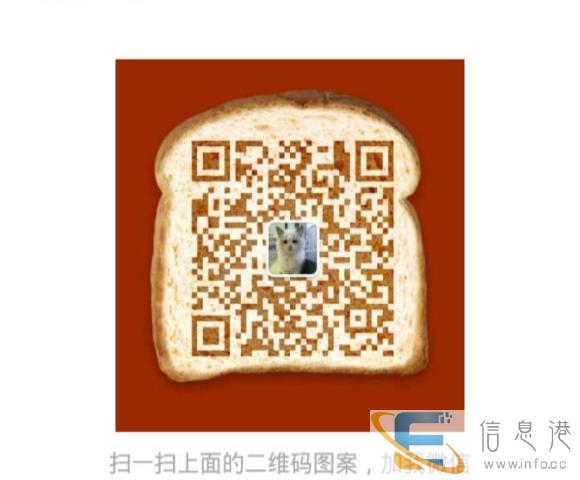 金吉拉猫,品相好价格低,疫苗驱虫齐,签协议包邮