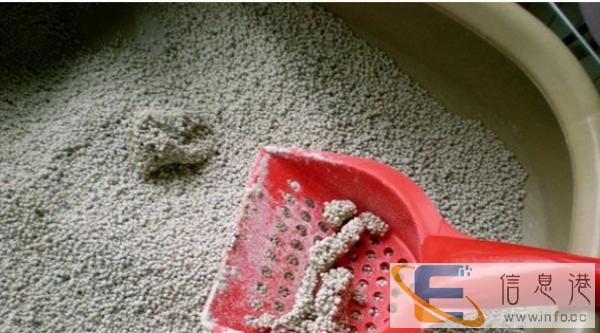 忍痛送自家讨人喜爱的小猫