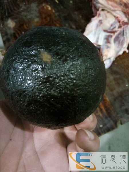 金昌私人 私下 现金 收购鸡宝个人常年高价-当天收购古玩