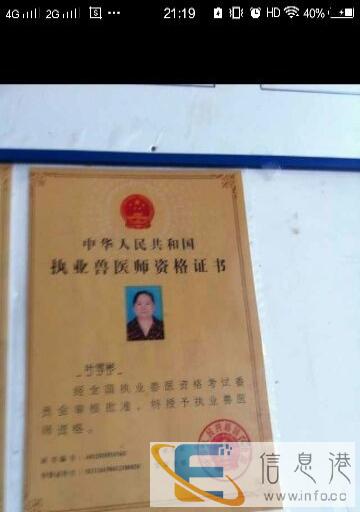 专治各类宠物疑难杂症