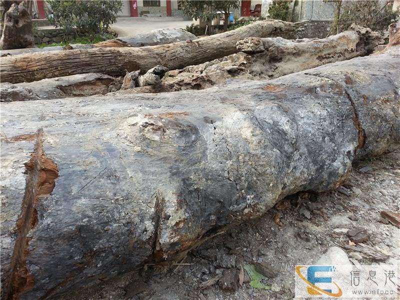 九江私人收购羊宝 个人老板现金收购羊宝