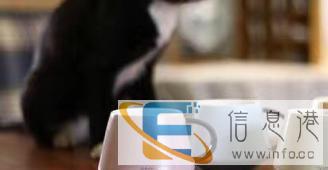 陶瓷马克杯定做双层保温杯定制玻璃保温杯定做商务礼品杯定制陶瓷