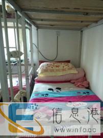 绥化出卖上下铺铁床有脚梯护拦床板每套160泡沫垫50一个