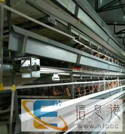 干湿分离机鸡笼养鸡设备捡蛋机清粪机送料机