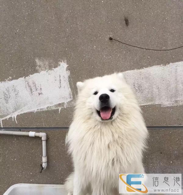 自家小萨对外借配