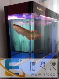 割爱甩卖1.2X45鱼缸