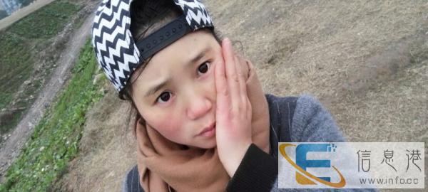 想领养一只小狗